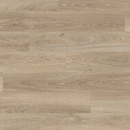 Дуб амьен светлый