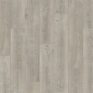 Дуб старинный серый