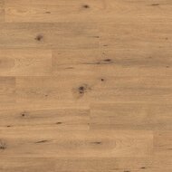 Дикий дуб натуральный