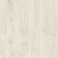 Дуб Вирджиния белый