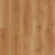 Дуб Закатный