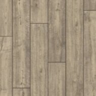 ДУБ ДЫМЧАТЫЙ