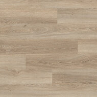 ДУБ АМЬЕН СВЕТЛЫЙ