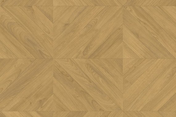 Дуб английский