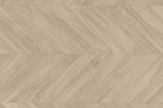 Дуб пепельный