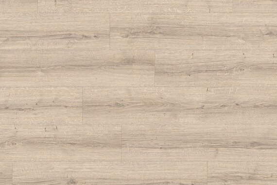 Дуб шерман светлый