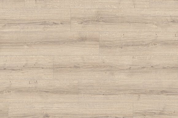 Дуб шерман светлый