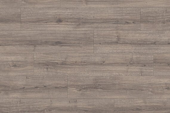 Дуб шерман серый