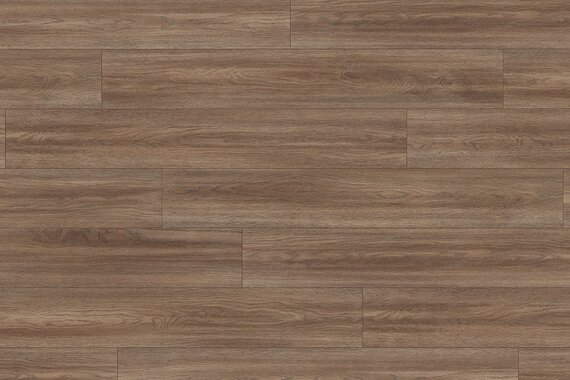 Дуб сория коричневый