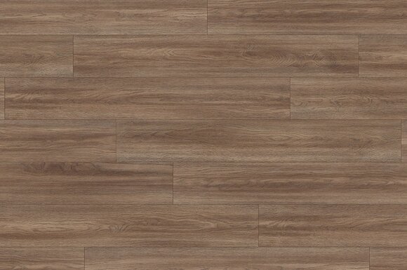 Дуб сория коричневый