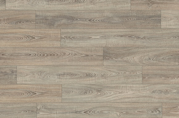 Дуб бардолино серый