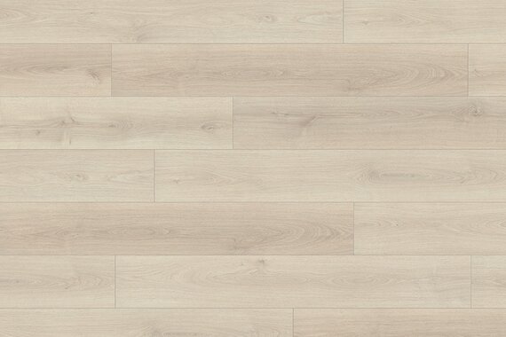 Дуб эльтон белый