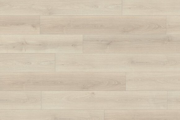 Дуб эльтон белый