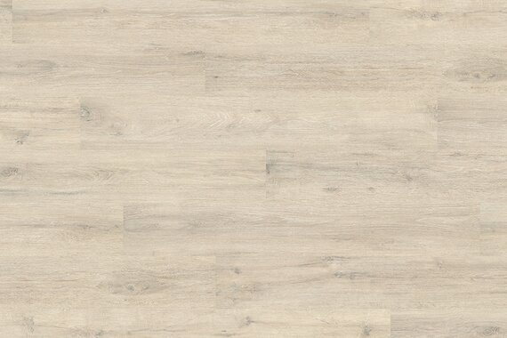 Дуб меловой