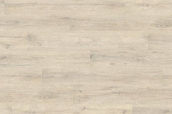 Дуб меловой