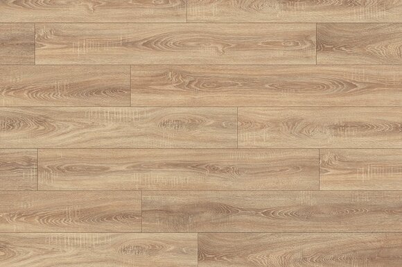 Дуб бардолино