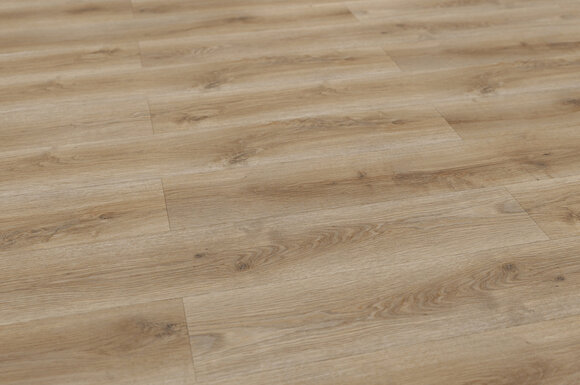 STRONG дуб фалькон