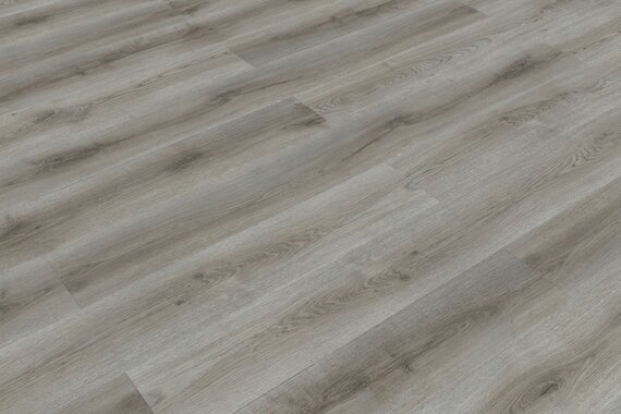 STRONG дуб рибель