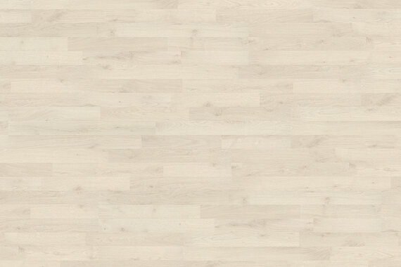 Полярный дуб