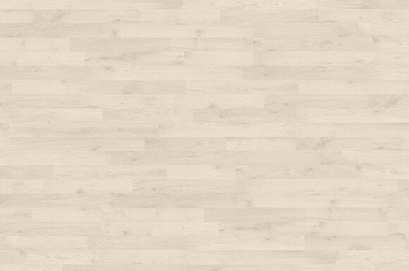 Полярный дуб