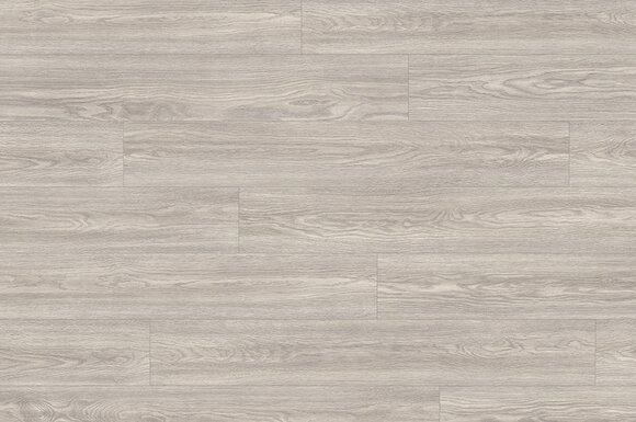 дуб сория светло-серый