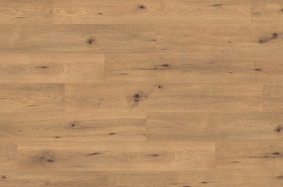 Дикий дуб натуральный