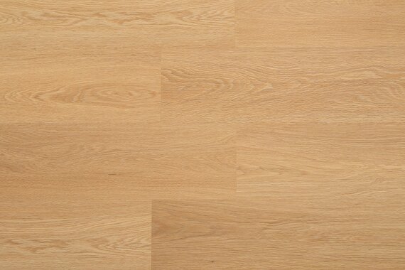 Excelente Дуб шампань