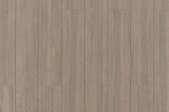 Сосна Марчена Браун