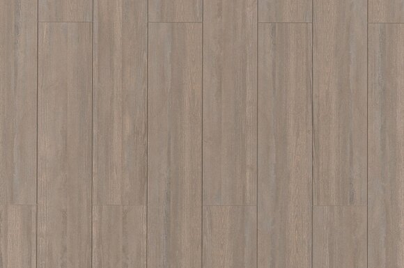 Сосна Марчена Браун