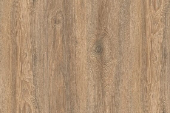 Дуб Скалистый