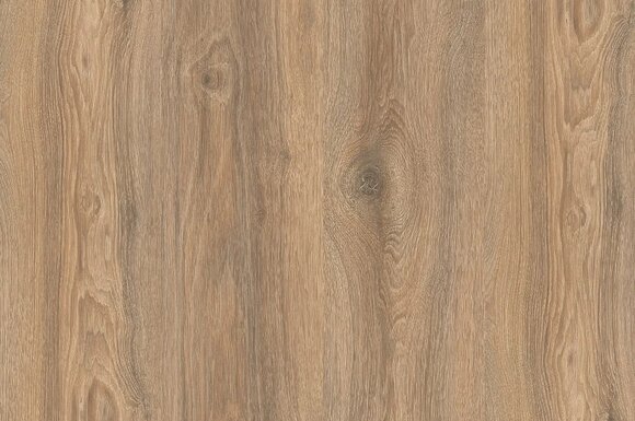 Дуб Скалистый