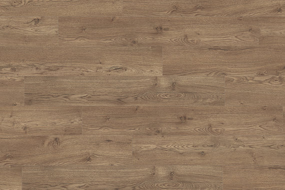 ДУБ ОЛЬХОН ДЫМЧАТЫЙ