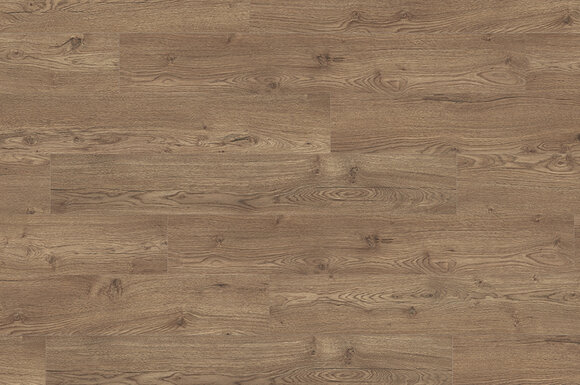 ДУБ ОЛЬХОН ДЫМЧАТЫЙ