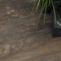 WOOD дуб окленд