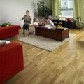 Дуб Living High Gloss