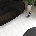Сосна Белая лофт