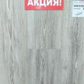 Сосна Модро серая